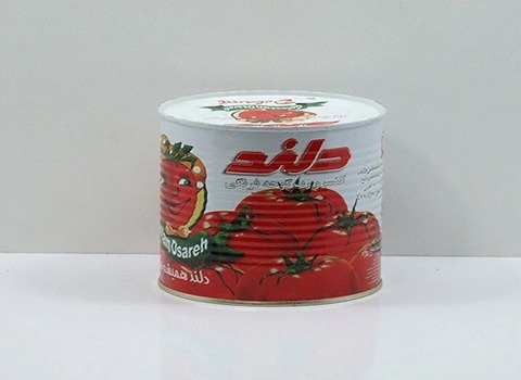 تصویر 2 از قیمت رب گوجه فرنگی دلند + خرید باور نکردنی